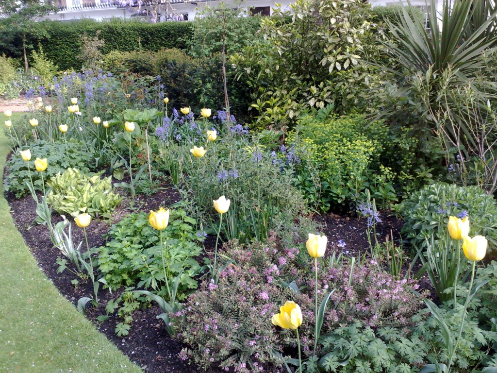 tiny garden courtyard